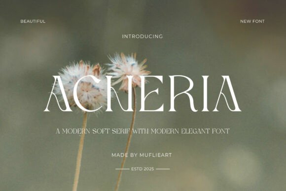 Acheria: The Serif Font That Elevates Your Brand’s Visual Story