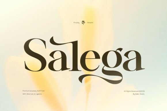 Introducing Salega: A Serif Font for Digital Branding