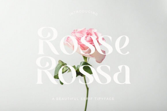 Rosse Rossa